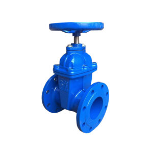 valve 666(4)