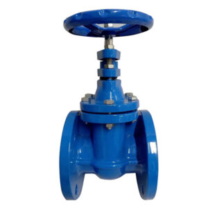 ductile iron flange gate valve