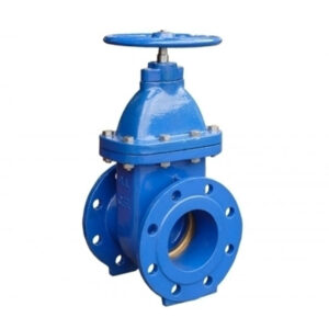 cast iron soft seal gate valve