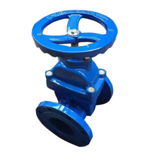 flange rising stem soft sealing gate valve