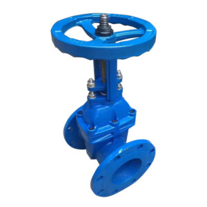 cast iron nrs gate valve